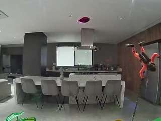 voyeurcam-casa-salsa-fishtank