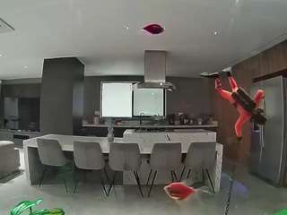 voyeurcam-casa-salsa-fishtank