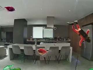 voyeurcam-casa-salsa-fishtank