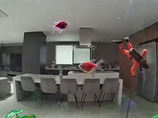 voyeurcam-casa-salsa-fishtank