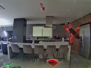 voyeurcam-casa-salsa-fishtank