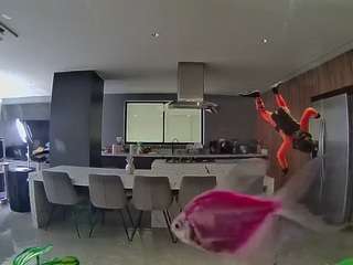 voyeurcam-casa-salsa-fishtank