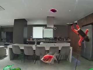 voyeurcam-casa-salsa-fishtank