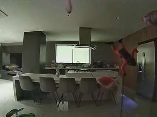 voyeurcam-casa-salsa-fishtank