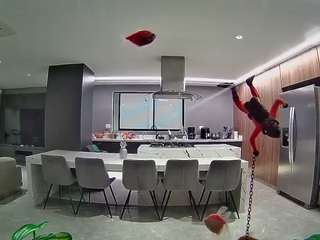 voyeurcam-casa-salsa-fishtank