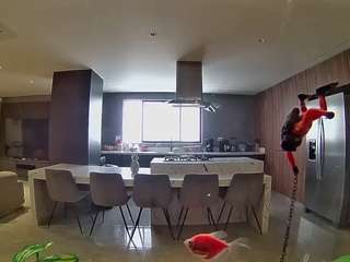 voyeurcam-casa-salsa-fishtank