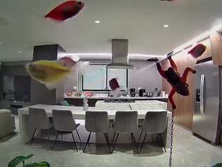 voyeurcam-casa-salsa-fishtank