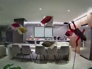 voyeurcam-casa-salsa-fishtank