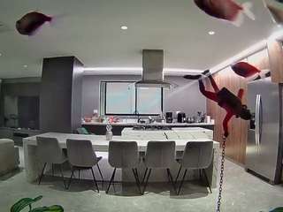 voyeurcam-casa-salsa-fishtank