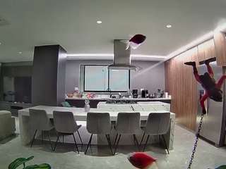 voyeurcam-casa-salsa-fishtank