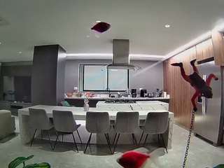 voyeurcam-casa-salsa-fishtank