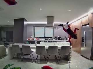 voyeurcam-casa-salsa-fishtank