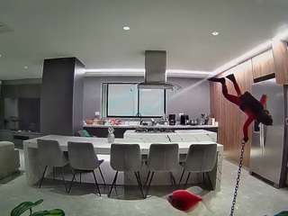 voyeurcam-casa-salsa-fishtank