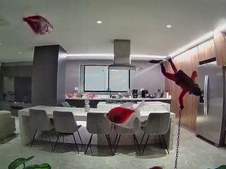 voyeurcam-casa-salsa-fishtank