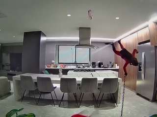 voyeurcam-casa-salsa-fishtank