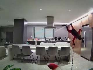 voyeurcam-casa-salsa-fishtank