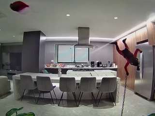 voyeurcam-casa-salsa-fishtank