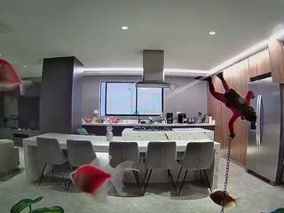 voyeurcam-casa-salsa-fishtank