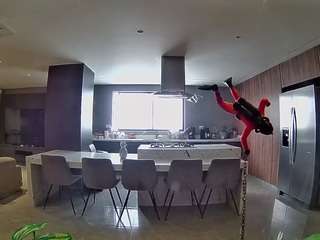 voyeurcam-casa-salsa-fishtank