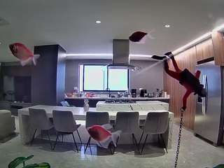 voyeurcam-casa-salsa-fishtank