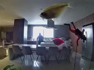 voyeurcam-casa-salsa-fishtank