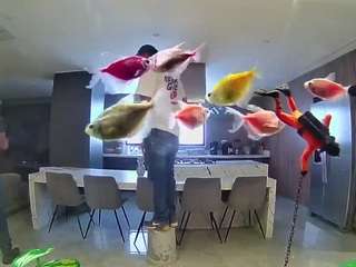 voyeurcam-casa-salsa-fishtank