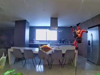 voyeurcam-casa-salsa-fishtank