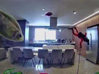 voyeurcam-casa-salsa-fishtank