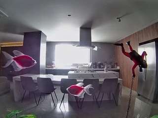 voyeurcam-casa-salsa-fishtank
