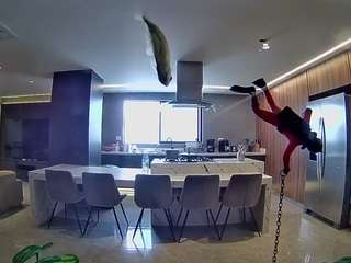voyeurcam-casa-salsa-fishtank