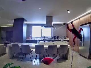 voyeurcam-casa-salsa-fishtank