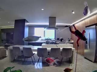 voyeurcam-casa-salsa-fishtank