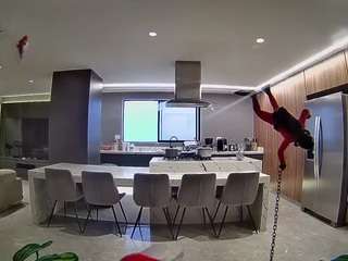 voyeurcam-casa-salsa-fishtank