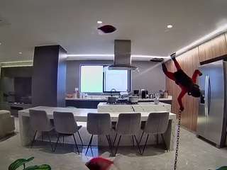 voyeurcam-casa-salsa-fishtank