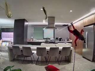 voyeurcam-casa-salsa-fishtank