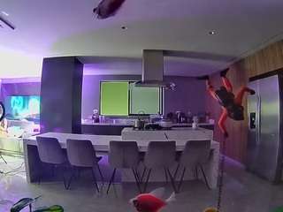 voyeurcam-casa-salsa-fishtank