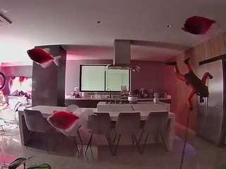 voyeurcam-casa-salsa-fishtank