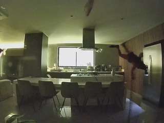 voyeurcam-casa-salsa-fishtank