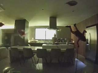 voyeurcam-casa-salsa-fishtank