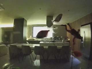 voyeurcam-casa-salsa-fishtank