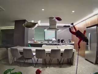 voyeurcam-casa-salsa-fishtank