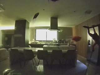 voyeurcam-casa-salsa-fishtank