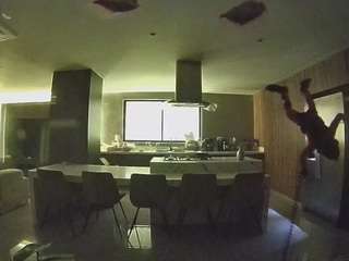 voyeurcam-casa-salsa-fishtank