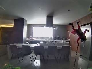 voyeurcam-casa-salsa-fishtank