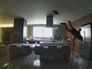 voyeurcam-casa-salsa-fishtank