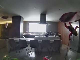 voyeurcam-casa-salsa-fishtank