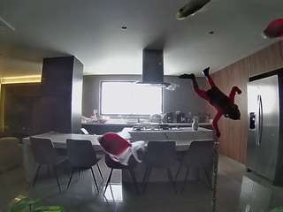 voyeurcam-casa-salsa-fishtank
