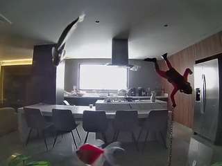voyeurcam-casa-salsa-fishtank