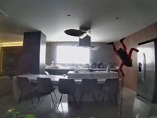 voyeurcam-casa-salsa-fishtank