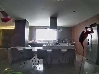 voyeurcam-casa-salsa-fishtank